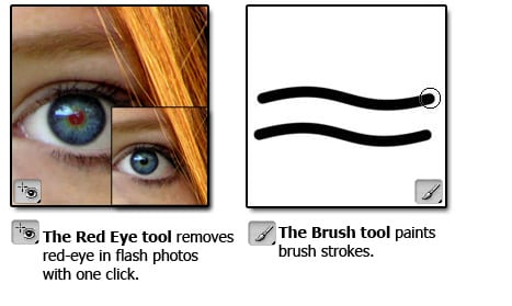 brush Tools Panel Overview