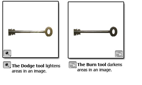 doge Tools Panel Overview